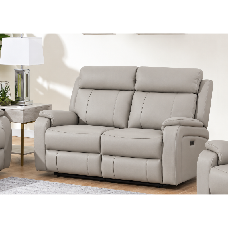 Banbury Light Grey Leather 2 Seater Sofa | Modern Leather Sofa