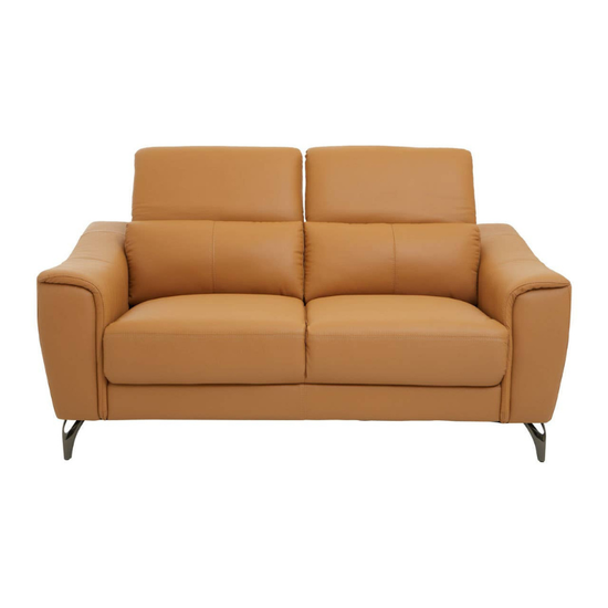 Padua 2 Seater Camel Leather Sofa – Modern Comfort & Luxurious Design