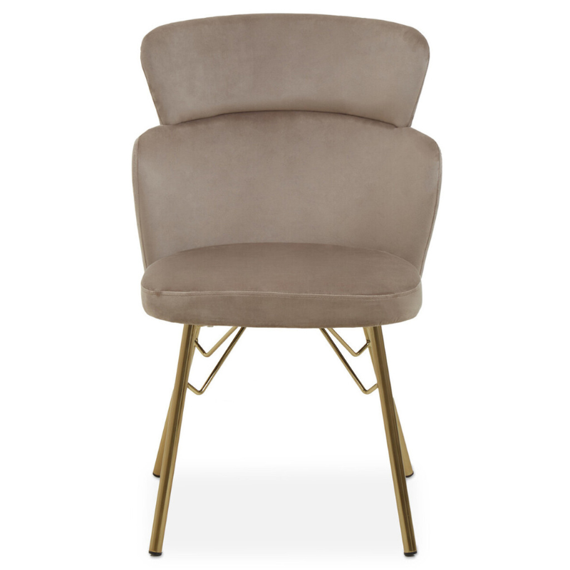 Veneto Mink Velvet Chair – Luxurious Comfort with Contemporary Style